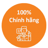 chinhs hangfx